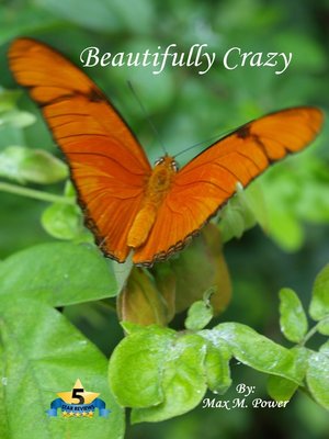 cover image of Beautifully Crazy